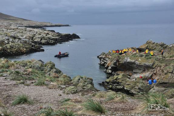 Grupo prepara-se para voltar ao Sea Spirit em Steeple Jason, no noroeste das Ilhas Malvinas